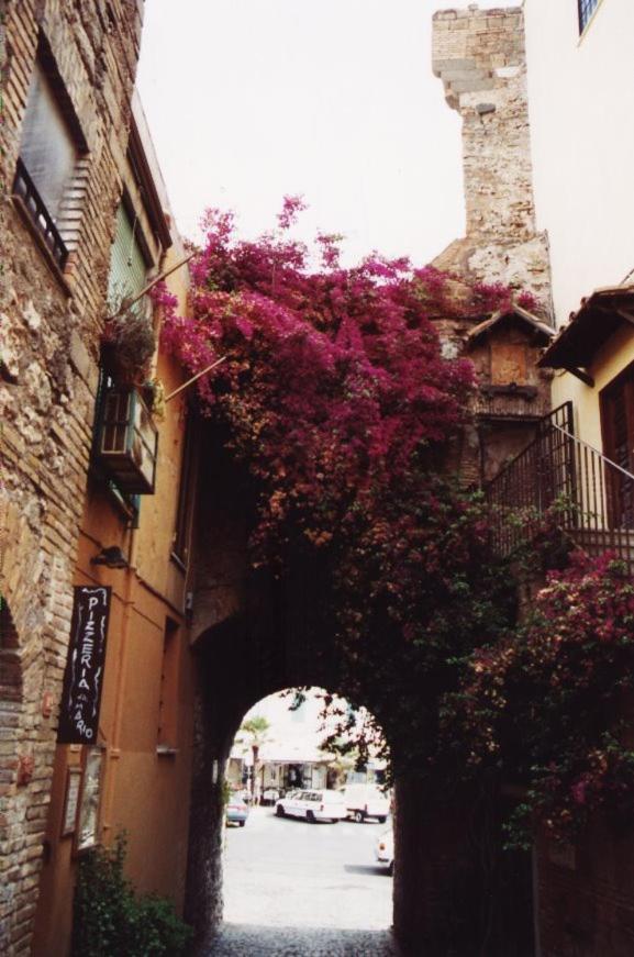 La Casa Degli Artisti 1 Otel Nettuno Dış mekan fotoğraf