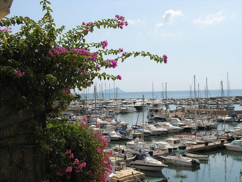 La Casa Degli Artisti 1 Otel Nettuno Dış mekan fotoğraf